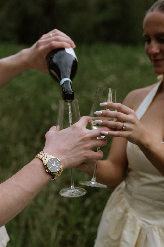 Shannon & Brendan’s Cinematic Tower Grove Park Engagement Session