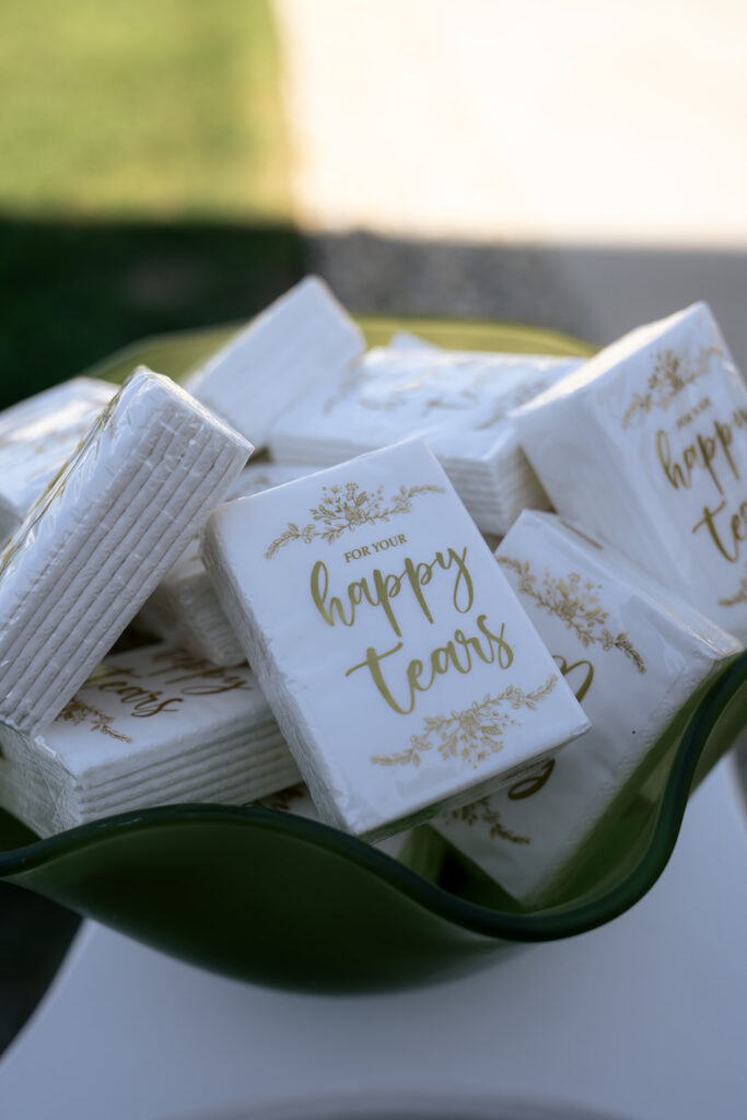 A Colorful LGBTQ St. Louis Wedding at Sunset Bluffs: Hannah & Kayla’s Modern Celebration