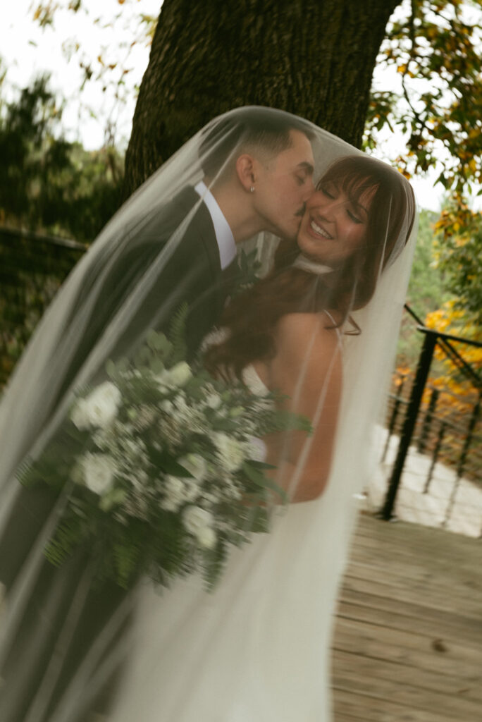 beautiful bridal portraits in st. louis