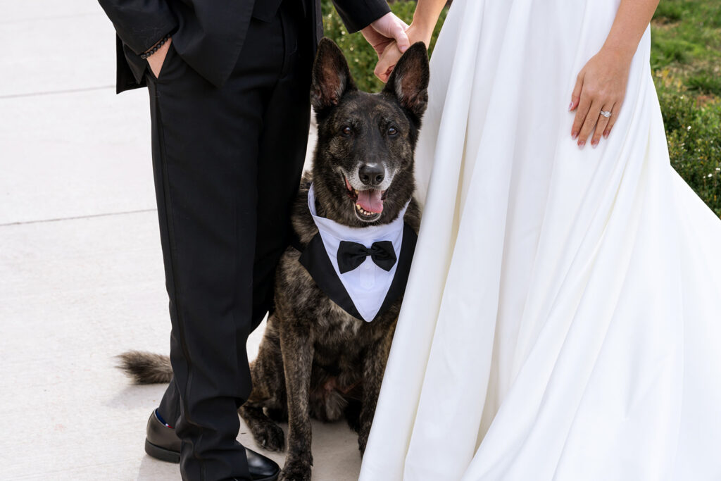 A Real Knotting Hills Wedding Timeline (From Start to Finish)