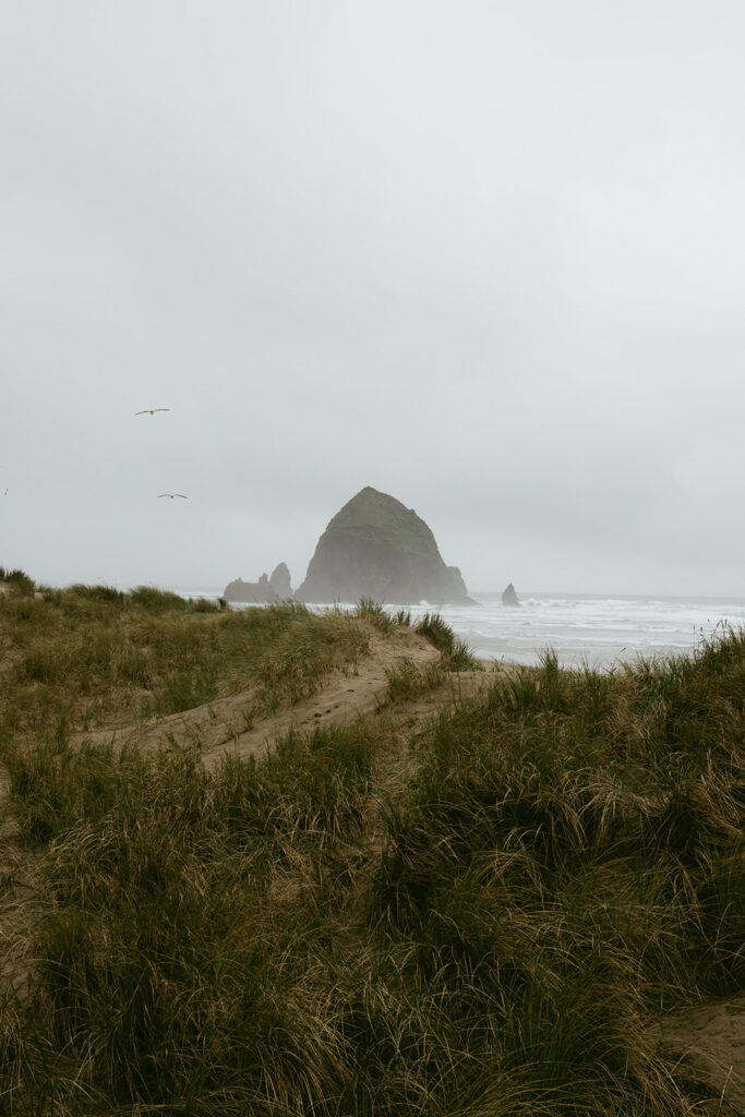 Editorial Cannon Beach Oregon Elopement With Stormy Coastal Vibes