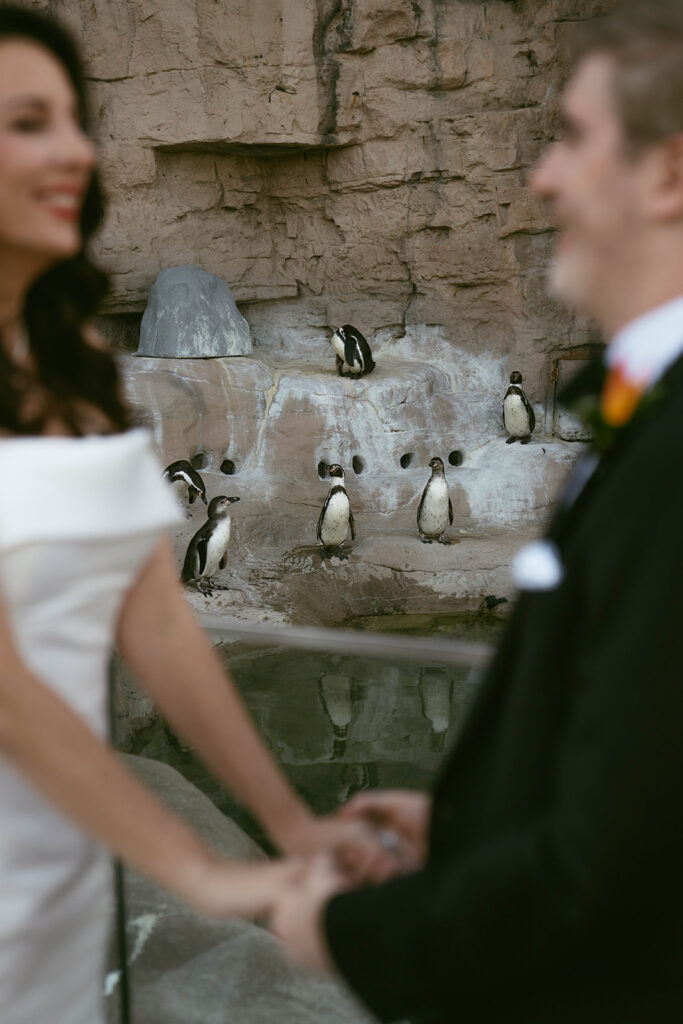 newlyweds at their dream wedding reception