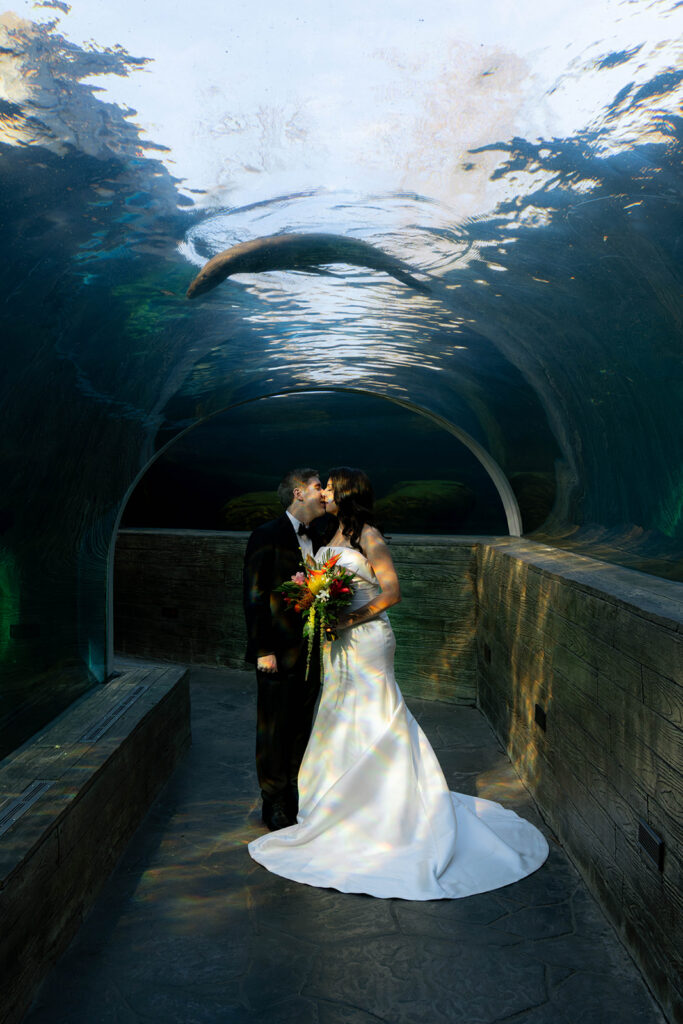 groom kissing the bride on the cheek