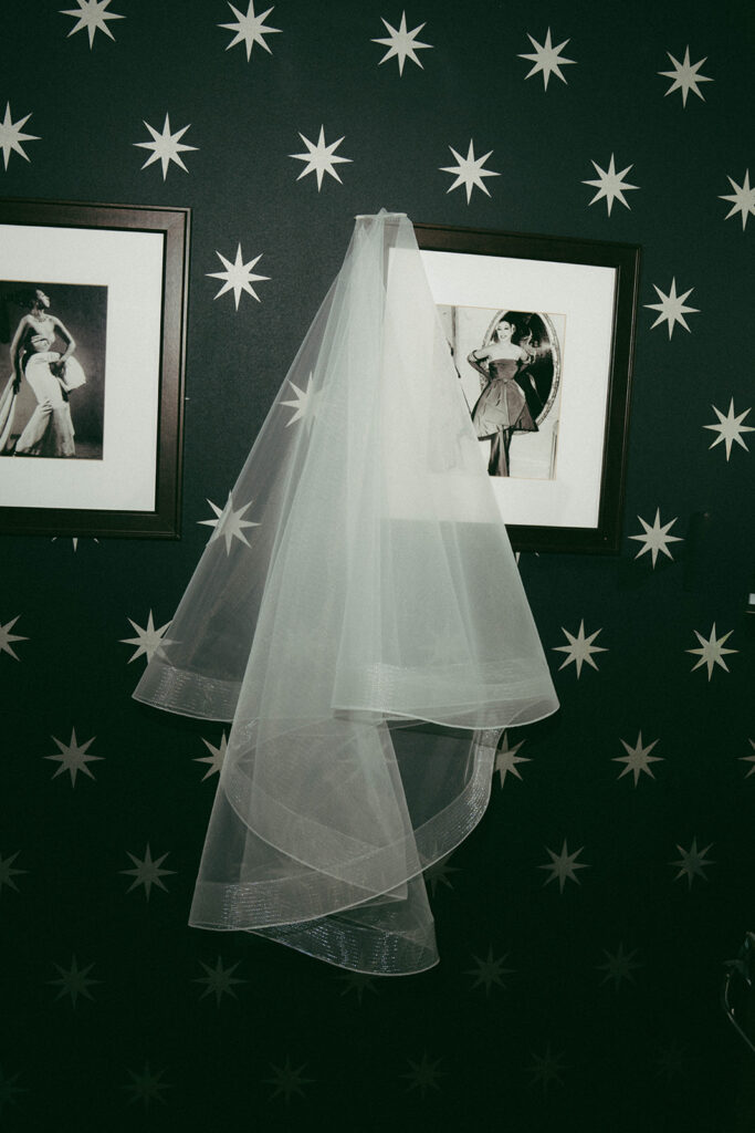 closeup shot of the brides veil