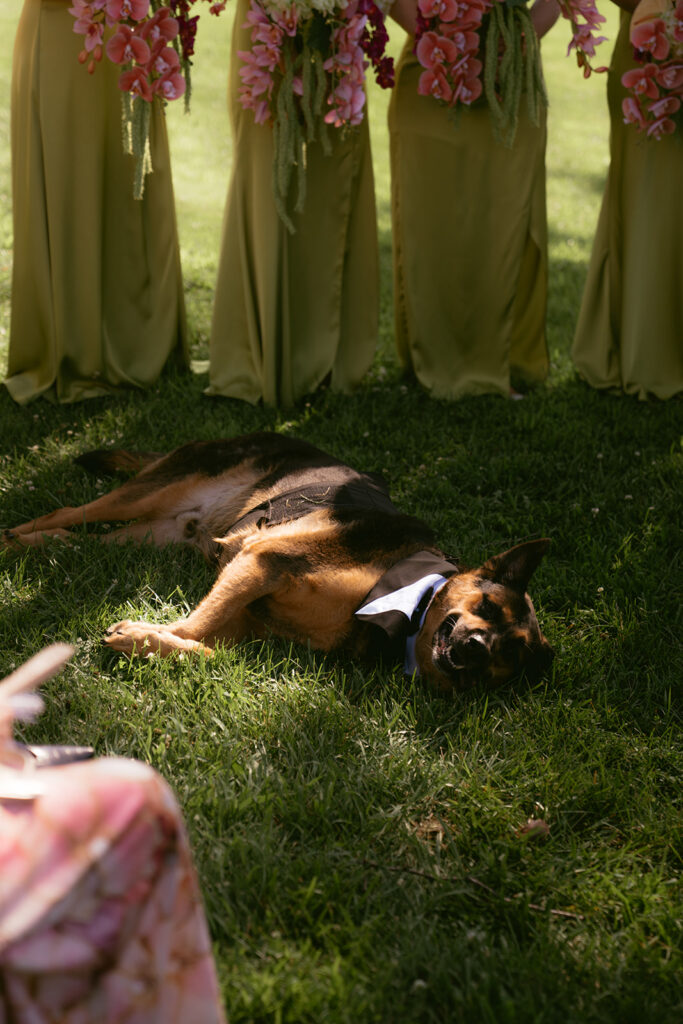 A Colorful Summer Wedding at Cedar Creek in New Haven, Missouri